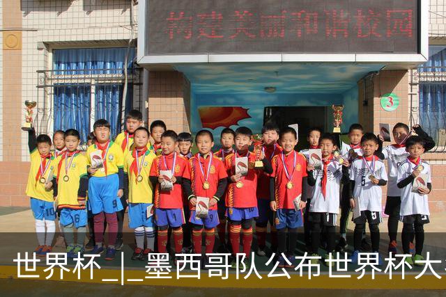 世界杯 | 墨西哥队公布世界杯大名单 奥乔亚6次入选