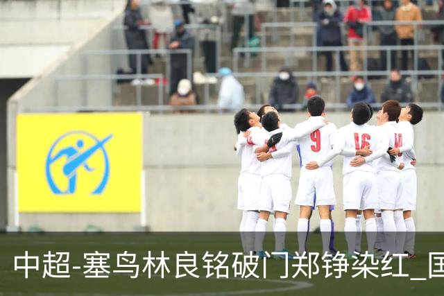 中超-塞鸟林良铭破门郑铮染红 国安2-0泰山取三连胜