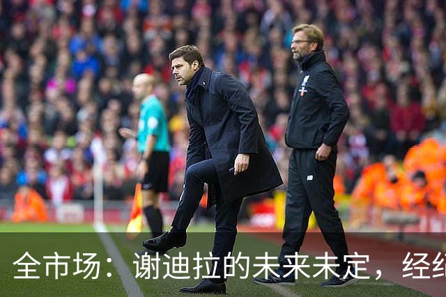 全市场：谢迪拉的未来未定，经纪人称阿莱格里会欣赏他