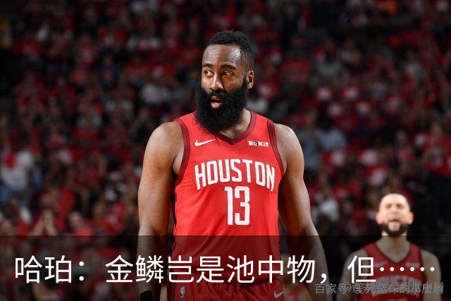 哈珀：金鳞岂是池中物，但……