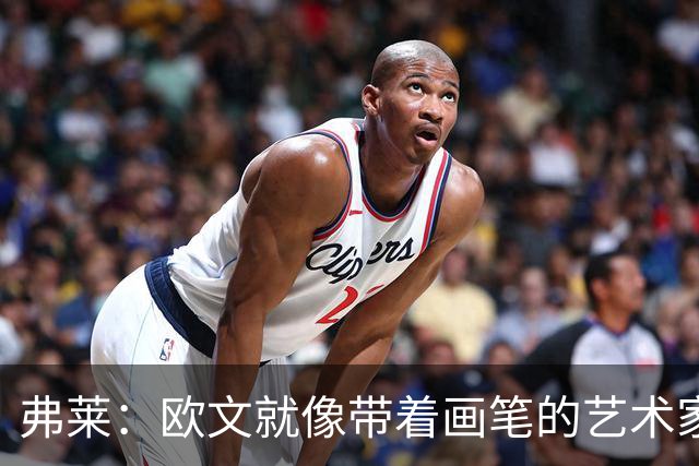 弗莱：欧文就像带着画笔的艺术家 他的进攻动作衔接就像画画一样