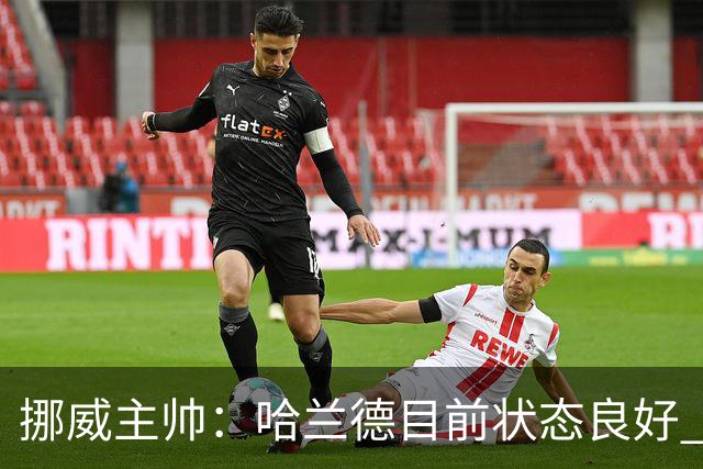 挪威主帅：哈兰德目前状态良好 他是世界上最好的射手