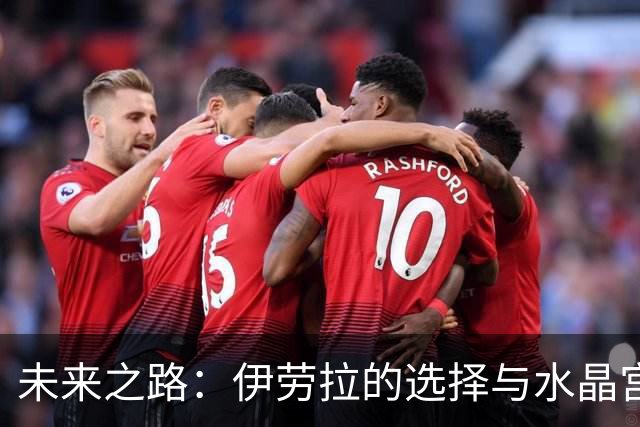 未来之路：伊劳拉的选择与水晶宫的挑战