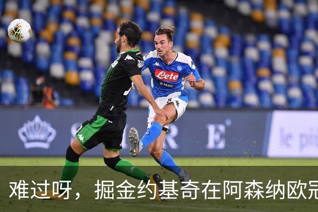 难过呀，掘金约基奇在阿森纳欧冠决赛后，加油助威的喜悦化为乌有