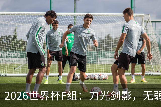 2026世界杯F组：刀光剑影，无弱旅的生死较量